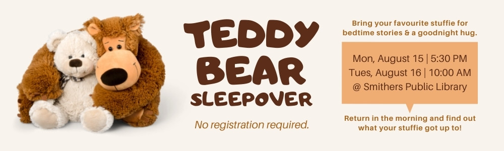 You're invited to a teddy bear sleepover!